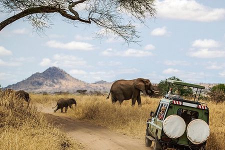 3 Days Ngorongoro & Serengeti Fly in Safari