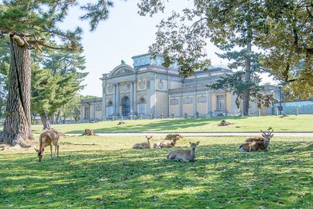 Nara Private Customizable Full Day Tour