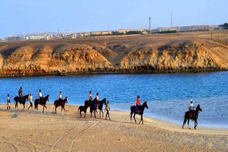 3 Hours Sunrise Horse Riding Beach and Desert from Marsa Alam