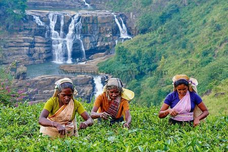 7 Days Ramayana Trails Tour in Sri Lanka