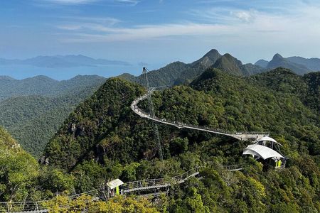 Half day tour Cable Car & Skybridge