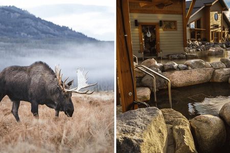 Yukon Wildlife & Nordic Hot Springs Experience