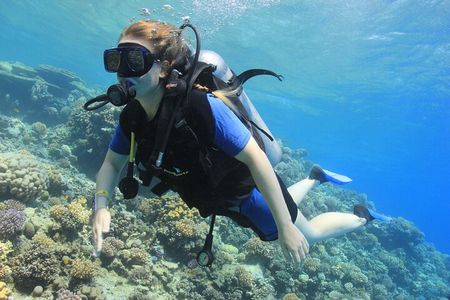 Beginner Scuba Dive 2 diving Stops & Lunch Boat Trip - El Quseir