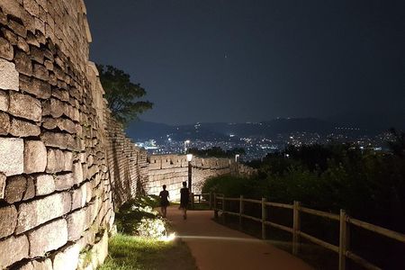 PRIVATE SEOUL NIGHT TOUR: Dinner, Naksan Park, N-tower, Market...