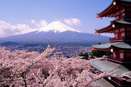 Mt. Fuji 5th Station, Oshino Hakkai and Hot Spring Day Trip