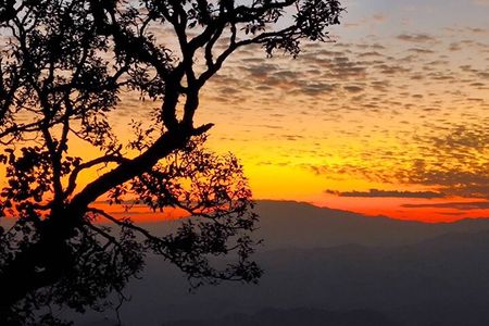 Chiang Mai Sunset Point, Wat Pha Lat, Wat Doi Suthep, Wat Umong