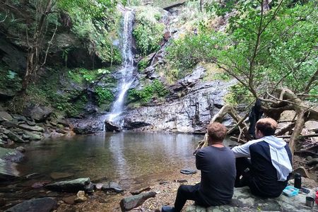 Jungle River Trek: private tour in Yanbaru, north Okinawa