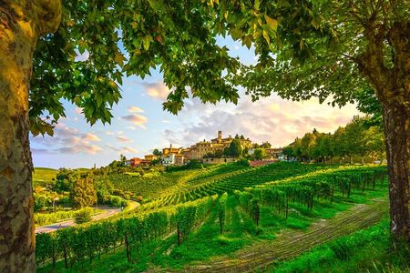 Small-Group Barolo Wine Tasting, Alba & UNESCO Piedmont Hills