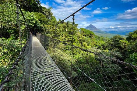 Private Hanging Bridges + Waterfall Tour + Costarrican Lunch