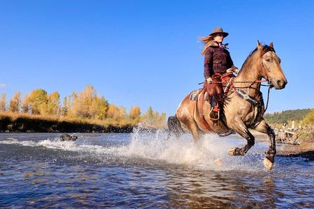 3 Hour Horseback Riding in Jackson Hole