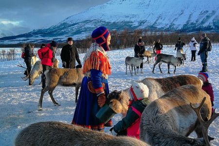 Reindeer Feeding and Sami Culture Afternoon Departure