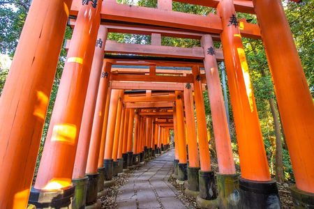 Full Day Guided Tour to Kyoto and Nara from Osaka by Van