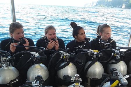 Try Scuba Diving for Beginners with manta rays (Non - Certified)