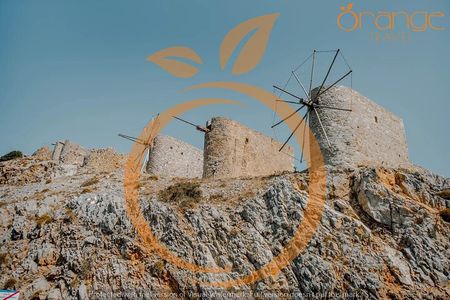 Full-Day/Half-Day Tour : Lasithi Plateau & Knossos Palace