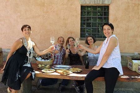Guided Wine Tasting Experience in a Roman Vineyard