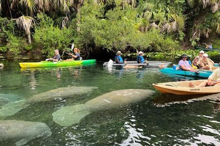 Blue Springs 4 Hour manatee Kayak Tour