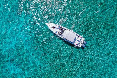 5 Hours Pigs and Turtles with Beach Stop in Bahamas