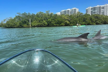 Clear Kayak Guided Eco Tour in North Naples