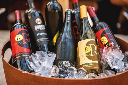 Mexican Wine Tasting Experience