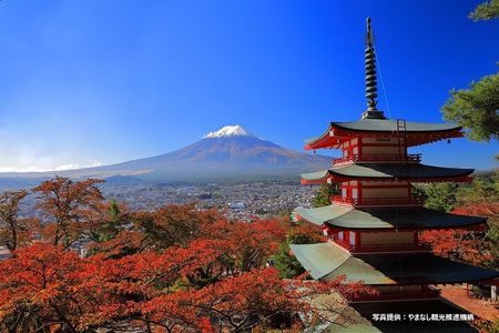 Mt. Fuji, Oishi Park & Arakurayama Pagoda Bus Tour with Lunch