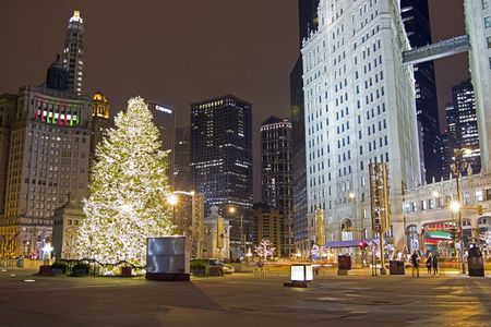Chicago Private Christmas & Christkindlmarket Walk