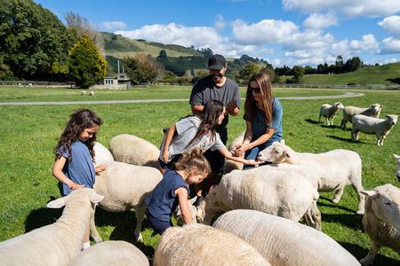 Agrodome Farm Experience including Farm Show and Farm Tour - Rotorua