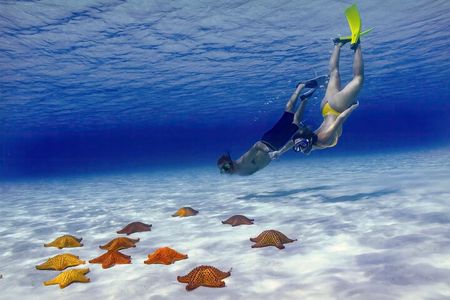 El Cielo Cozumel Snorkel Private Boat + Food Drinks + Beach Club
