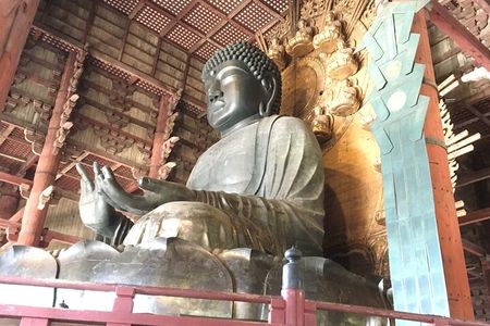Half-Day Private Guided Tour to Nara City