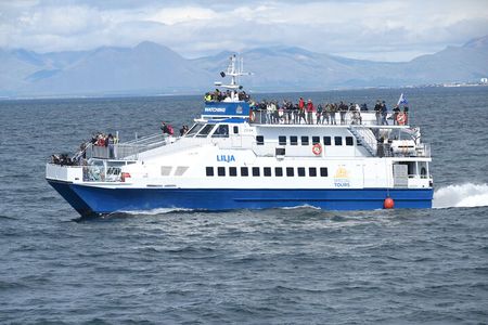 Whale Watching Tour from Akureyri City Central
