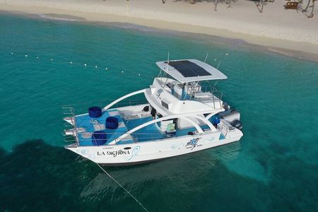 Private Full Day Charter to Saona Island from Punta Cana