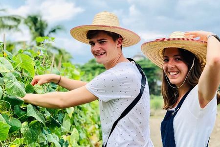 Baan Farm thai cooking Afternoon Class (Vegetarian Applicable)