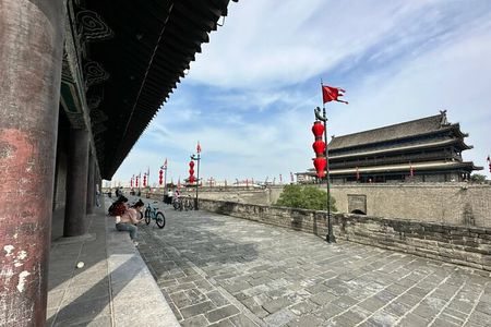 Xi'an Highlights Private Day Tour: Terracotta Warriors, City Wall