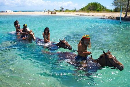Horseback Ride & Swim Jamaica/Montego Bay