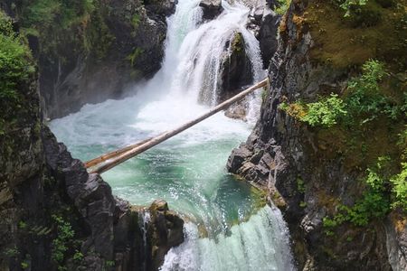 Waterfalls, Coombs and Cathedral Grove Rainforest Tour
