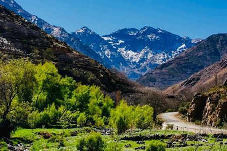 Excursion to the Ourika Valley and Berber villages 