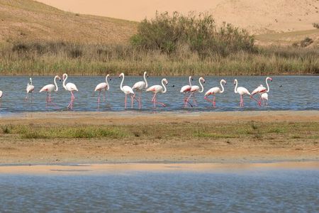 Agadir Desert Tour 4x4 with lunch