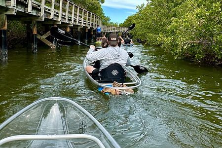 Clear Kayak Ecotour at Robinson Preserve in Bradenton, Florida