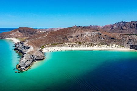 Whale sharks and sea lions snorkeling plus Balandra beach lunch