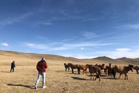 Private Day Tour in Hustai Nuruu National Park