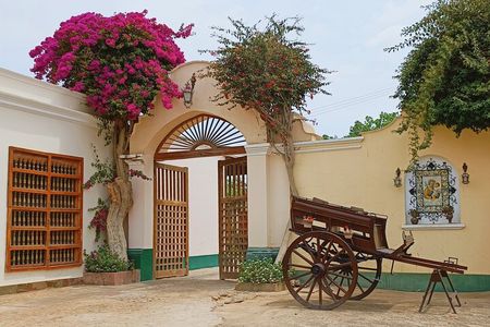 Wine Tour of the Origin, History and Tradition of Pisco