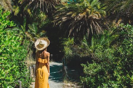 Preveli Beach & Palm Forest :Full-Day Tour with Lunch Box 