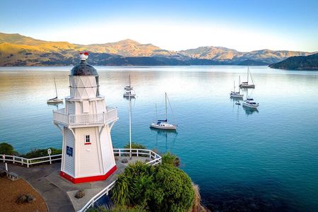 Lyttelton Shore Excursion- Small Group Tour of Akaroa & Peninsula