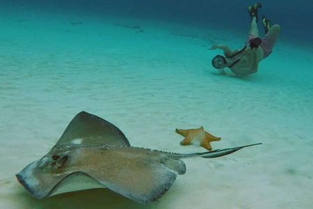 El Cielo Cozumel Snorkel tour by Catamaran