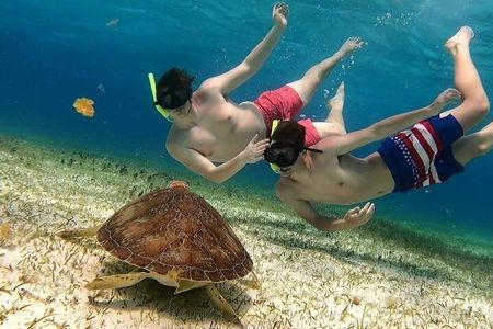 Palancar, Columbia and El Cielo Snorkeling tour by Catamaran