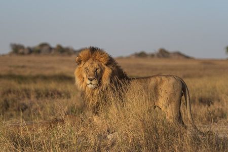 Day Tour to Amboseli National Park