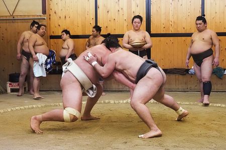Sumo Morning Training Watch in Tokyo