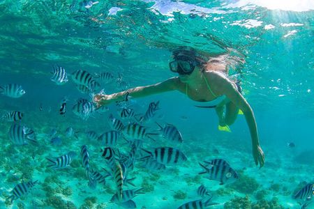 Cabo Pulmo Snorkel Adventure