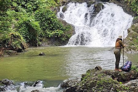 Visit an Embera tribe: Hike, Waterfall, Culture & Lunch