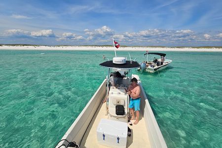 4 Hour Eco Dolphin Tour in Panama