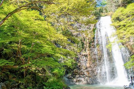Nature Walk at Minoo Park, the Best Nature and Waterfall in Osaka